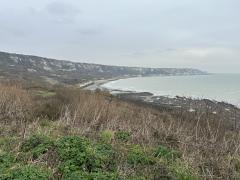 Chalk cliffs near Folkestone